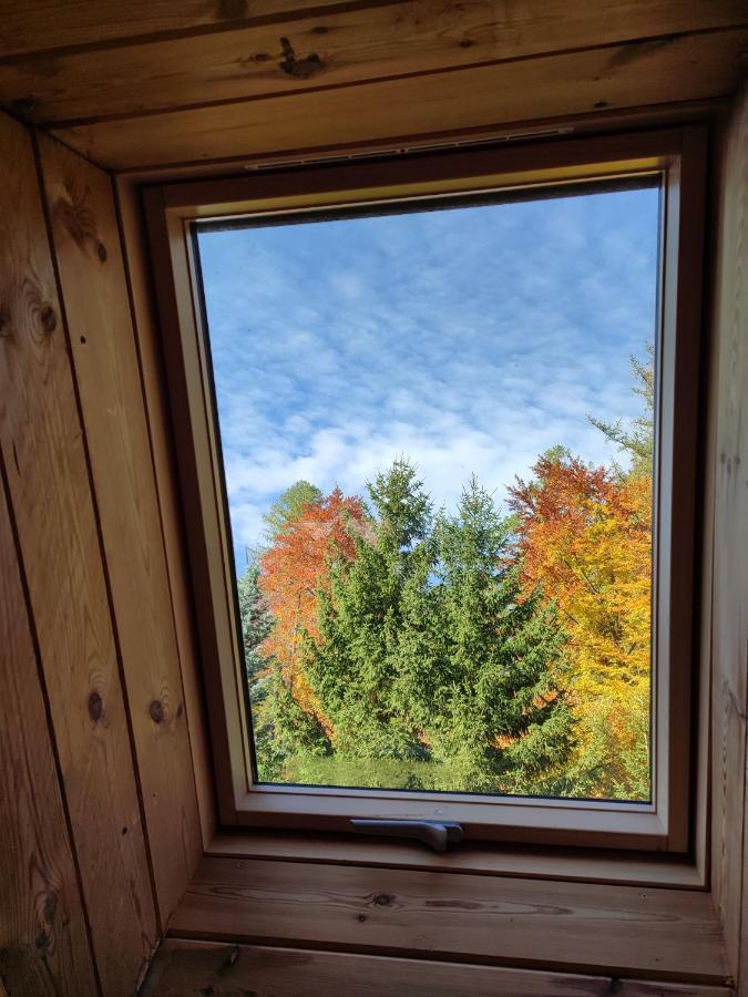 Appartamento Wiking Szklarska Poręba Esterno foto