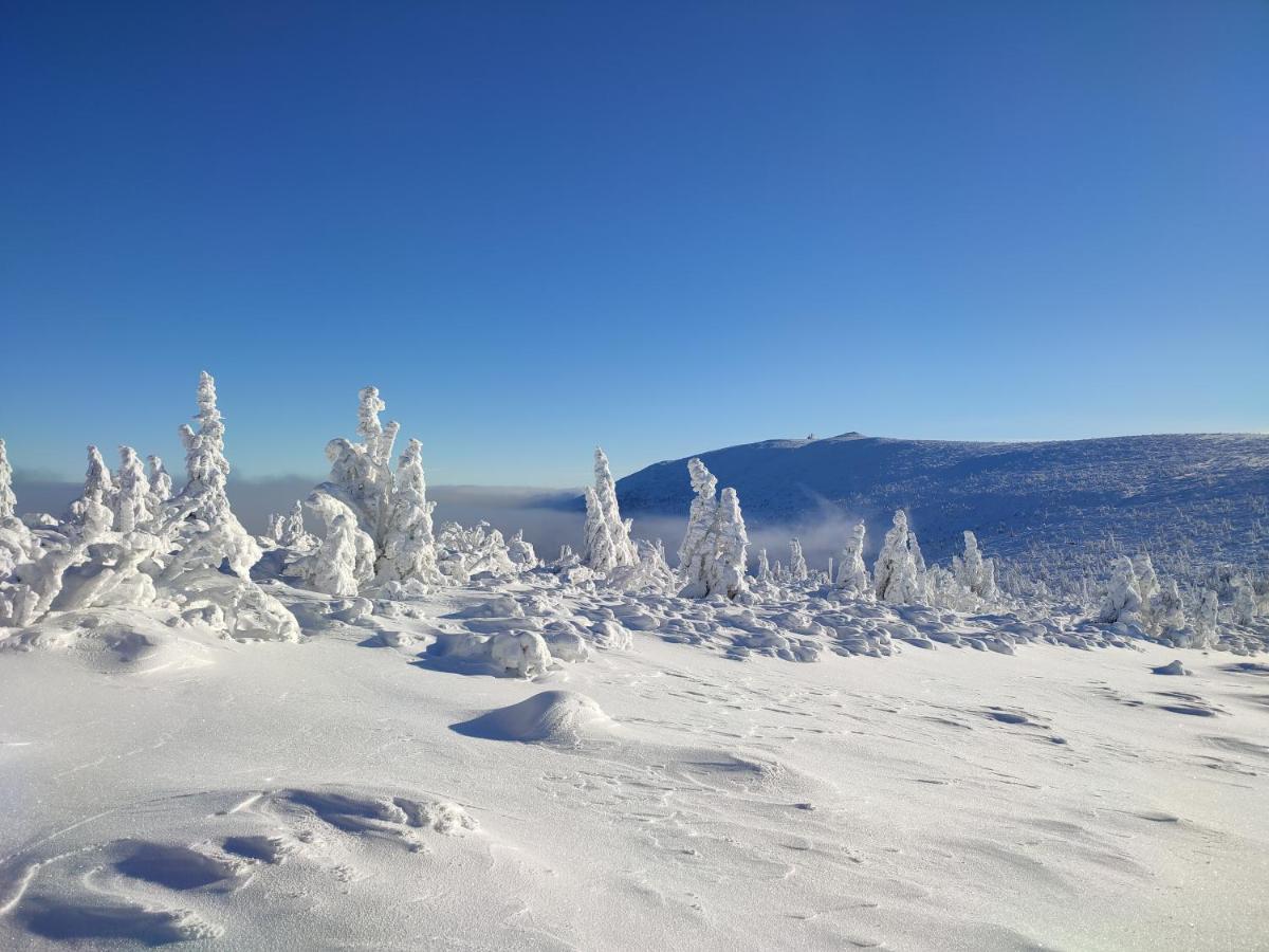 Appartamento Wiking Szklarska Poręba Esterno foto