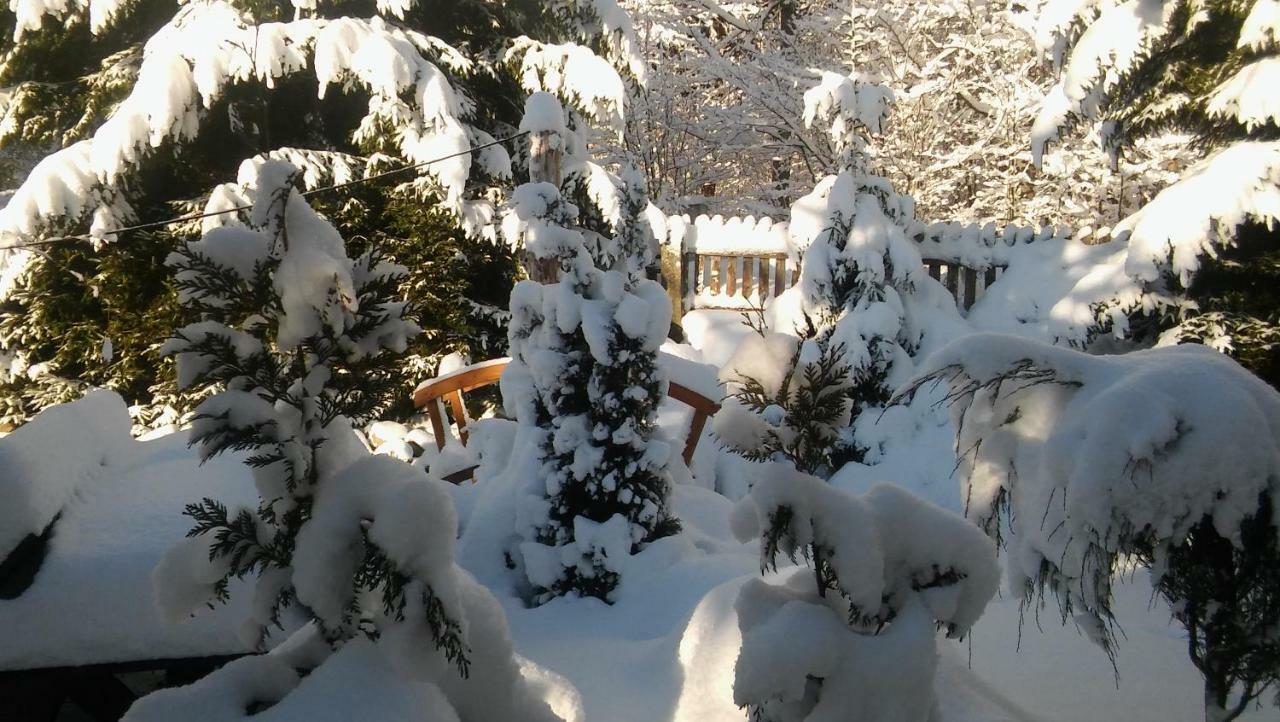 Appartamento Wiking Szklarska Poręba Esterno foto